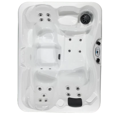 Kona PZ-519L hot tubs for sale in Great Falls